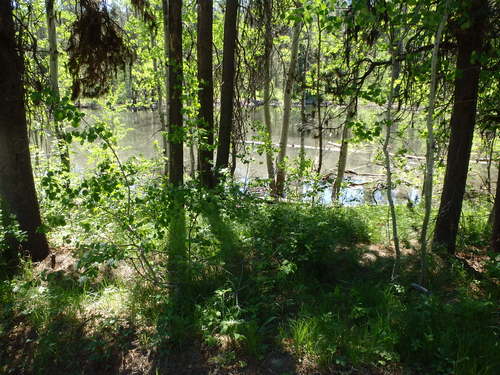 GDMBR: A stagnant pond takes a good photo.